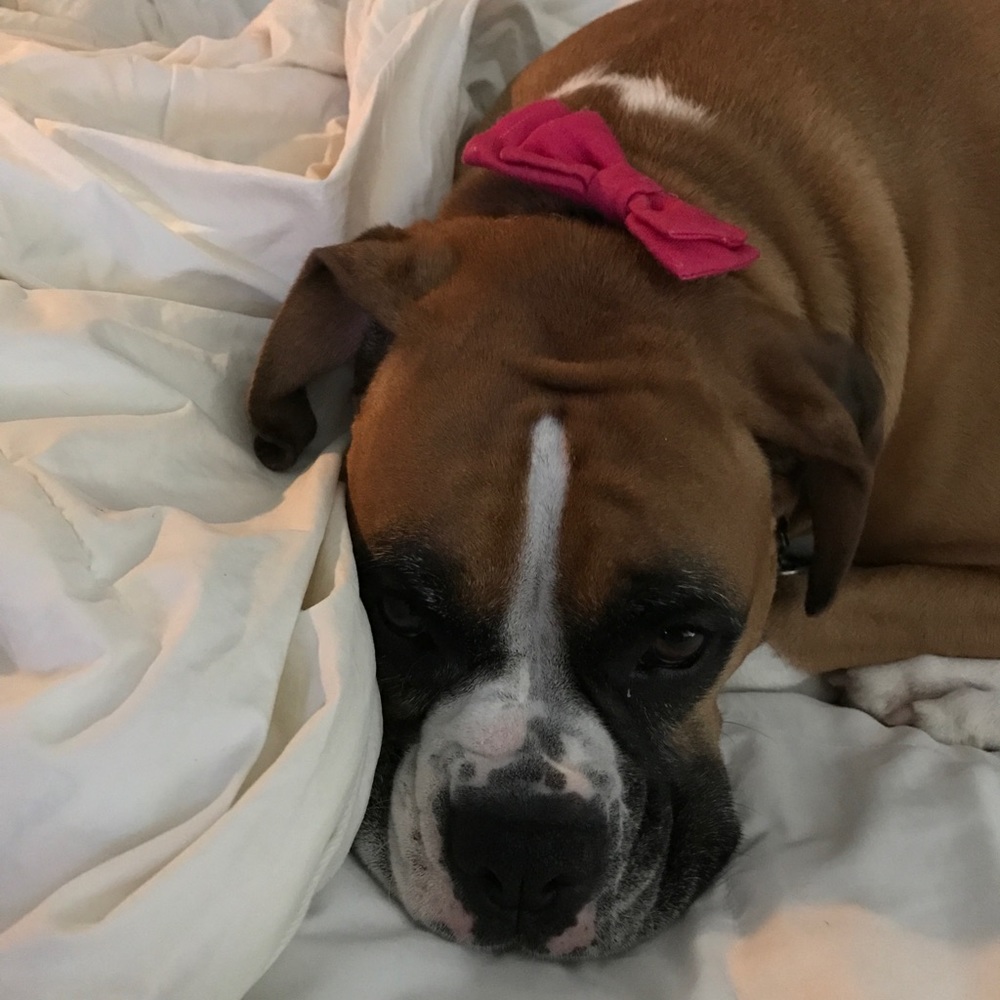 Meet your Posher, Margarita